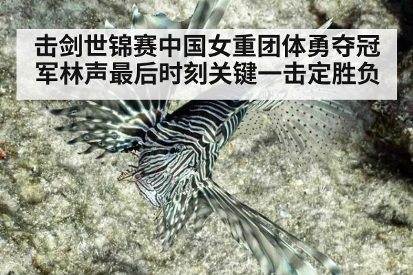 击剑世锦赛中国女重团体勇夺冠军林声最后时刻关键一击定胜负